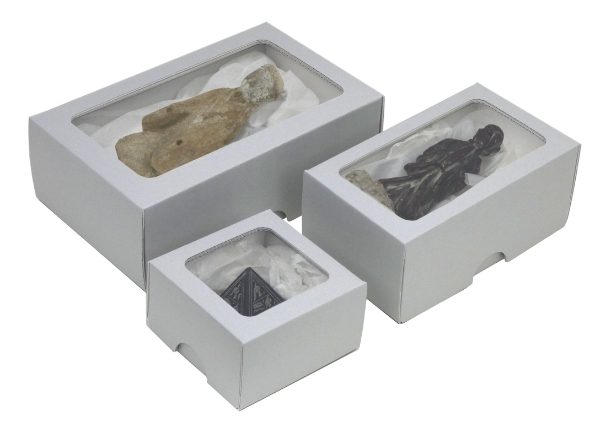Collection Display Boxes - Clear View Lids