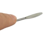 small spoonula in hand