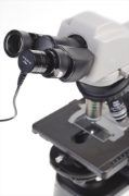 AM7025X fitted to microscope