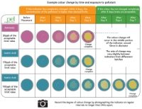 Acid / Ammonia Environmental Detection Indicators