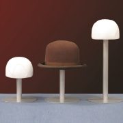 Conservation hat display storage mounts