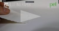 Blotting Paper - PEL