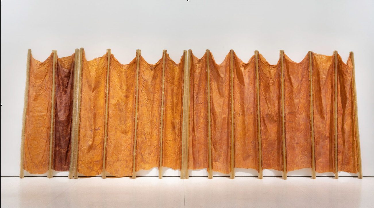 Eva Hesse, Expanded Expansion